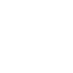 weddingwire-logo